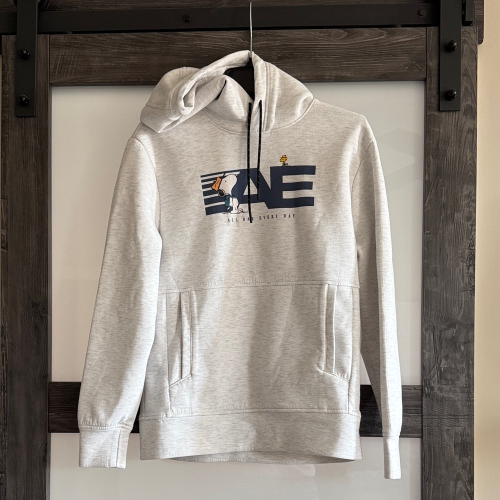 American Eagle Outfitters Light Gray Hooded Sweater